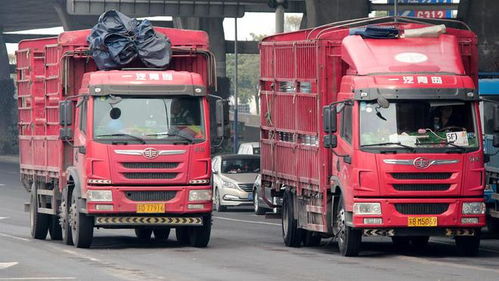 道路货运车辆 从业人员及场站最新防疫工作指南来了